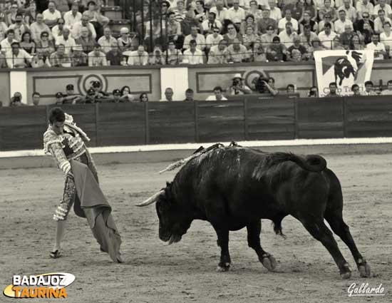 Primeras arrancadas de un toro con poco motor.