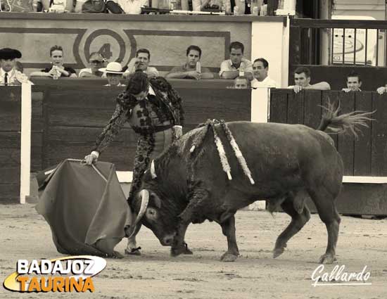 Intentando despegar al toro del piso.