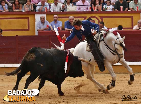 Pirata, caballo expresivo a la par que valiente.