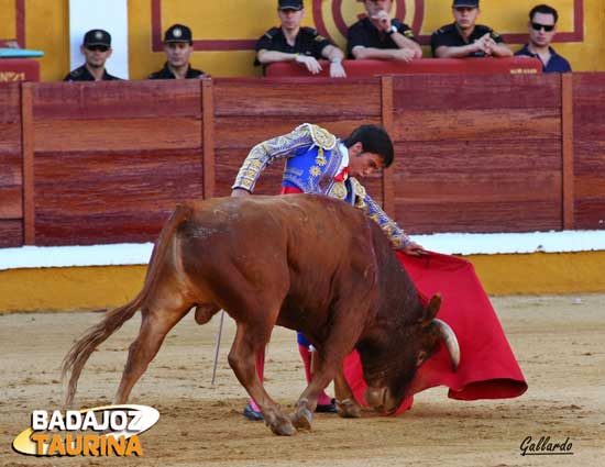 Carlos María toreando al natural.