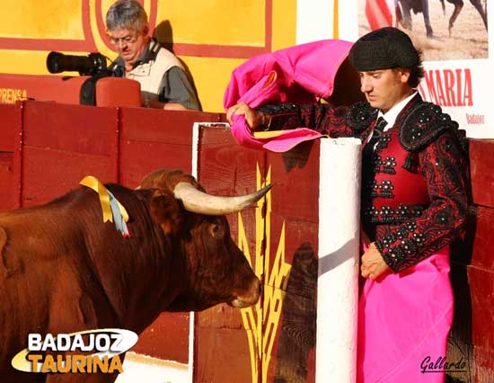 Ismael Jiménez aguantando al novillo en el burladero.