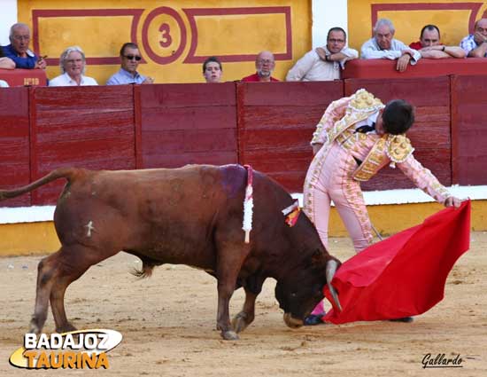 Llevando al de Píriz muy toreado.