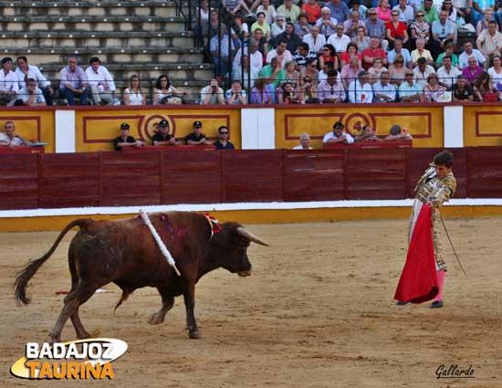 Lama dando distancias al buen eral de Píriz. (FOTO:Gallardo)