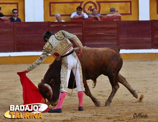 Al natural con fijeza del astado.