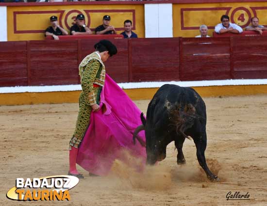 Verónica cadenciosa de Terrón.