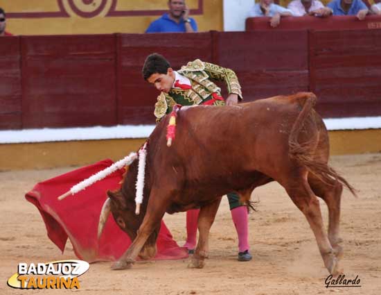 Firmeza y ganas en un novillero muy nuevo.