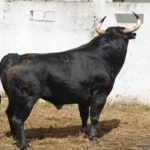 90—quisquilloso