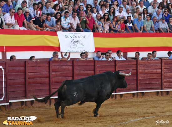 La P.T. El Volapié de Cabeza la Vaca, pasión por los toros.