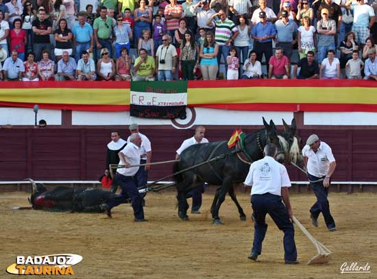 Tirando al revés... las mulas dieron la tarde.