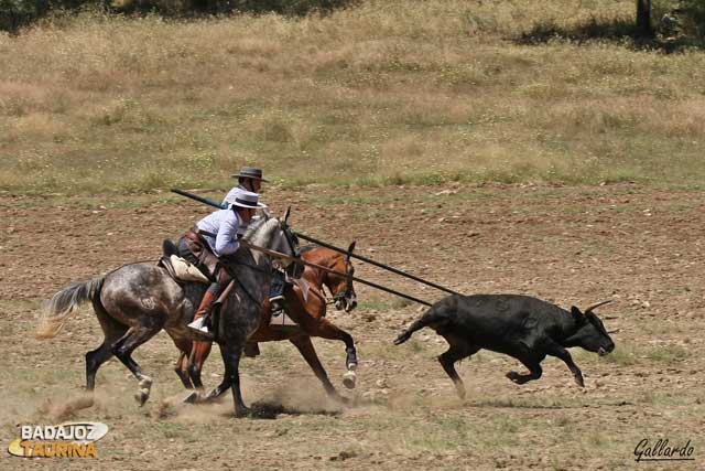 Nueva carrera en esta ocasión le toca a la pareja formada por Antonio Gomez Nuñez amparado por Luis Muñoz Bigeriego.