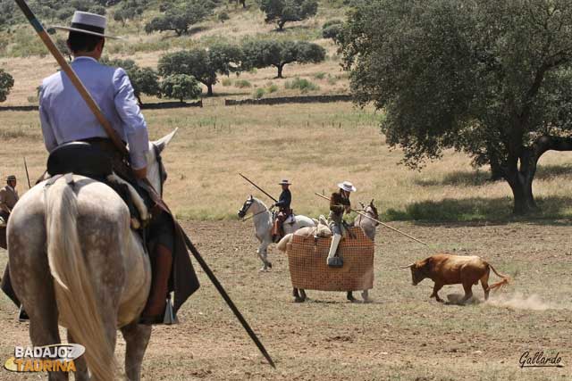 El colorao se arranca con fijeza al caballo de Borja Ruiz.