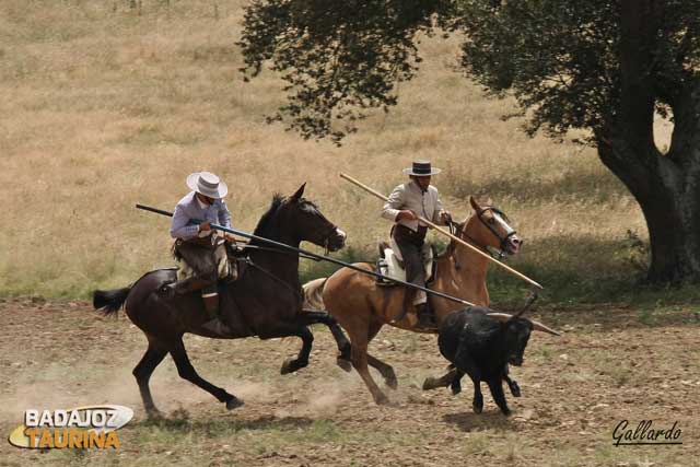 Paco Castillo y Fco. Javier Santos anduvieron certeros en su turno.