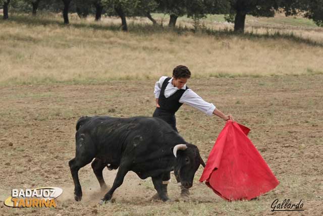 Alargó la embestida por el izquierdo al natural.