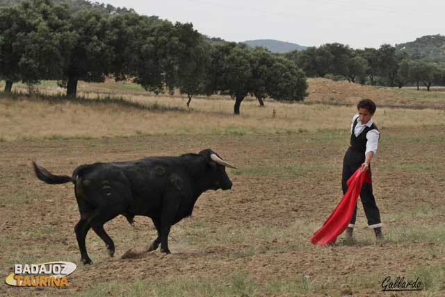 Muy firme citó de lejos para embarcar la embestida.