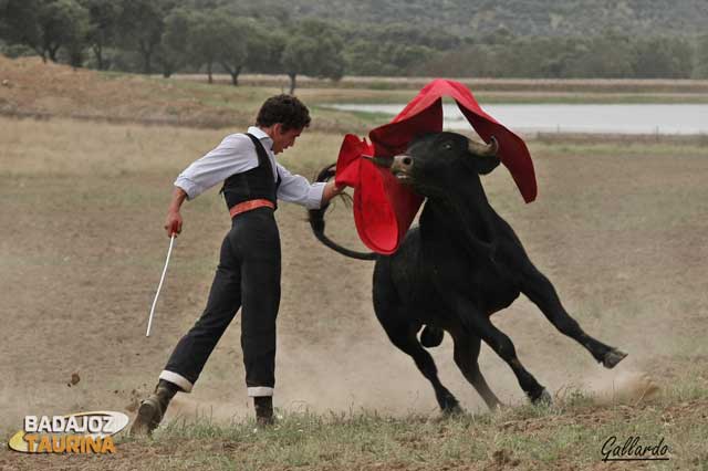 Rematando la serie con el de pecho de pitón a rabo.