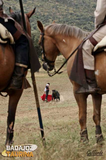 Toro y caballo, unidos en la dehesa.