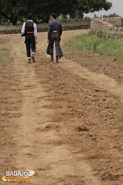 Para poner rumbo al hogar en fraternal compaña.