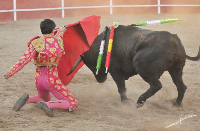 Inicio bullicioso, rodillas en tierra.