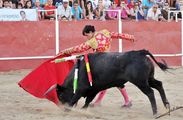 De pecho para cerrar una tanda. 