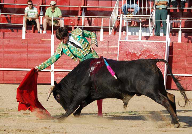 Para poder extraerle muletazos de trazo largo.