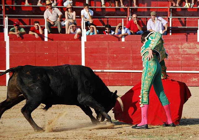 Por uno y otro pitón.