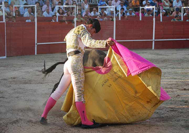 Abriéndose con cadencia en el saludo.