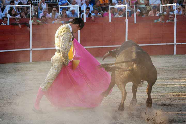 Gustó con el capote.