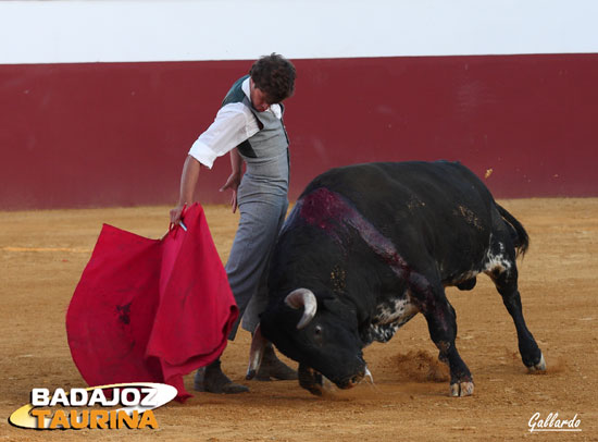 Metiendo los riñones para ligar los derechazos.