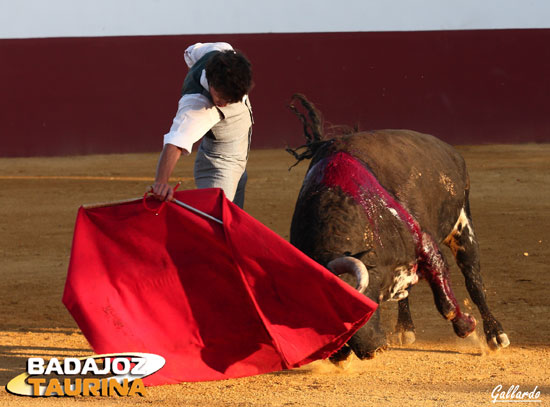 Sometiendo con mando al ejemplar de Cayetano Muñoz.