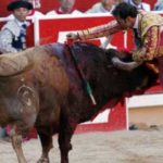Ferrera en Pamplona. (FOTO:Emilio Méndez/Burladero.com)