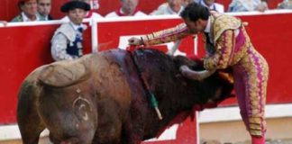 Ferrera en Pamplona. (FOTO:Emilio Méndez/Burladero.com)