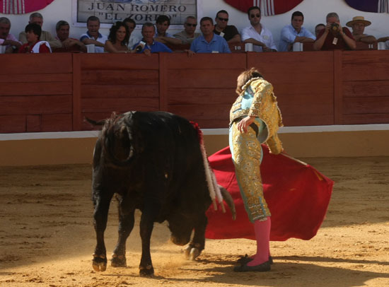 Con  la muleta a media altura para evitar caidas.