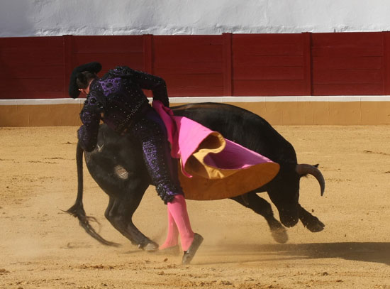 Y arrebujando la media.