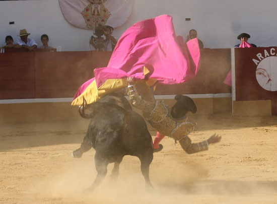 Arrollado en el quite al segundo novillo de la tarde.