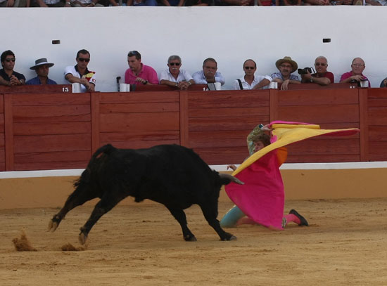 Borja recibió con una larga a su lote de novillos. 