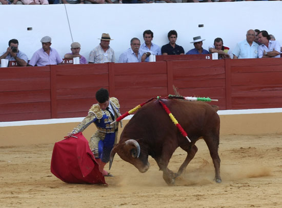 Tomás Campos iniciando la faena de muleta. (FOTO: Gallardo)