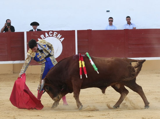 Encajado de riñones para torear en redondo.