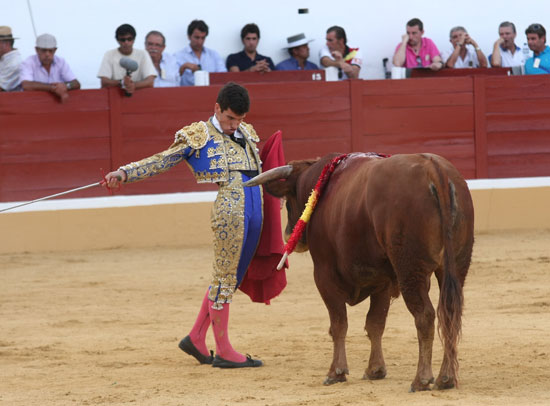 Desplante en la cara del novillo.