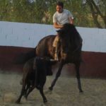 Pablo Ramos entrenando a lomos de Conguito.