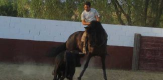 Pablo Ramos entrenando a lomos de Conguito.