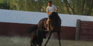 Pablo Ramos entrenando a lomos de Conguito.