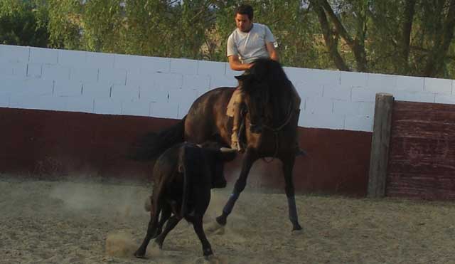 Pablo Ramos entrenando a lomos de Conguito.