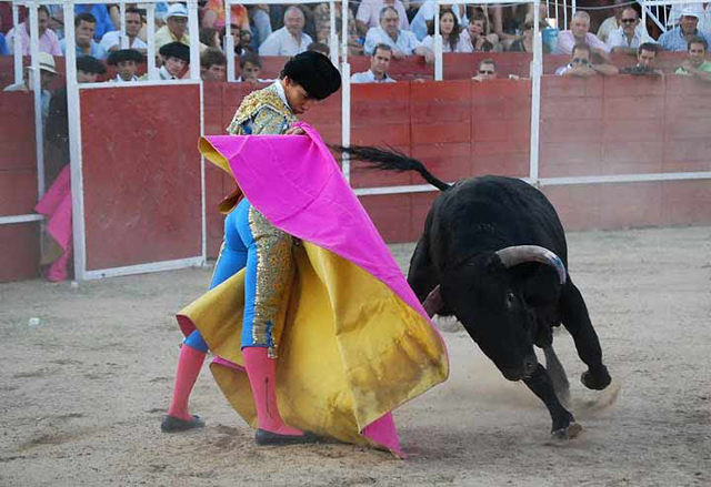 Al que paró con gusto a la verónica.