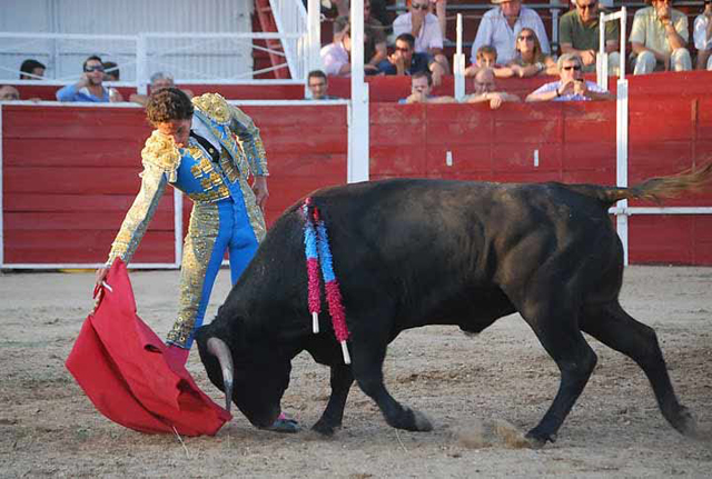 Derechazo sometiendo al novillo por bajo.