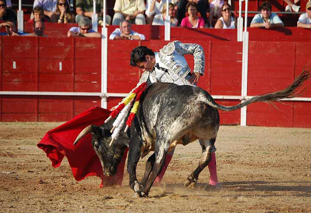 Toreando en redondo al buen ejemplar de Miguel Moreno.