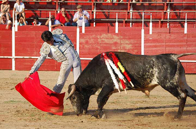 Muy encajado de riñones para enjaretar los derechazos.