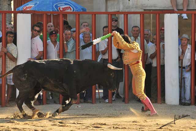 La bandera extremeña en lo más alto. 