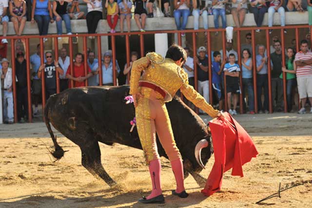 Muleteando en redondo.