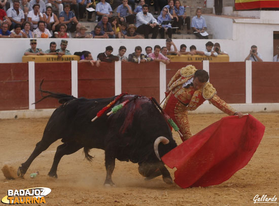 Toro y torero se entendieron a la perfección.