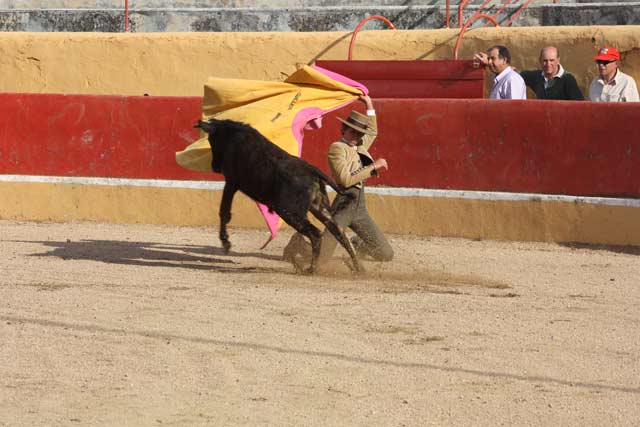 Ginés Marín recibiendo al primer añojo con una larga.